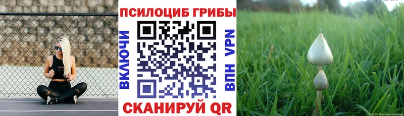 купить наркотик Сольцы Галлюциногенные грибы мицелий